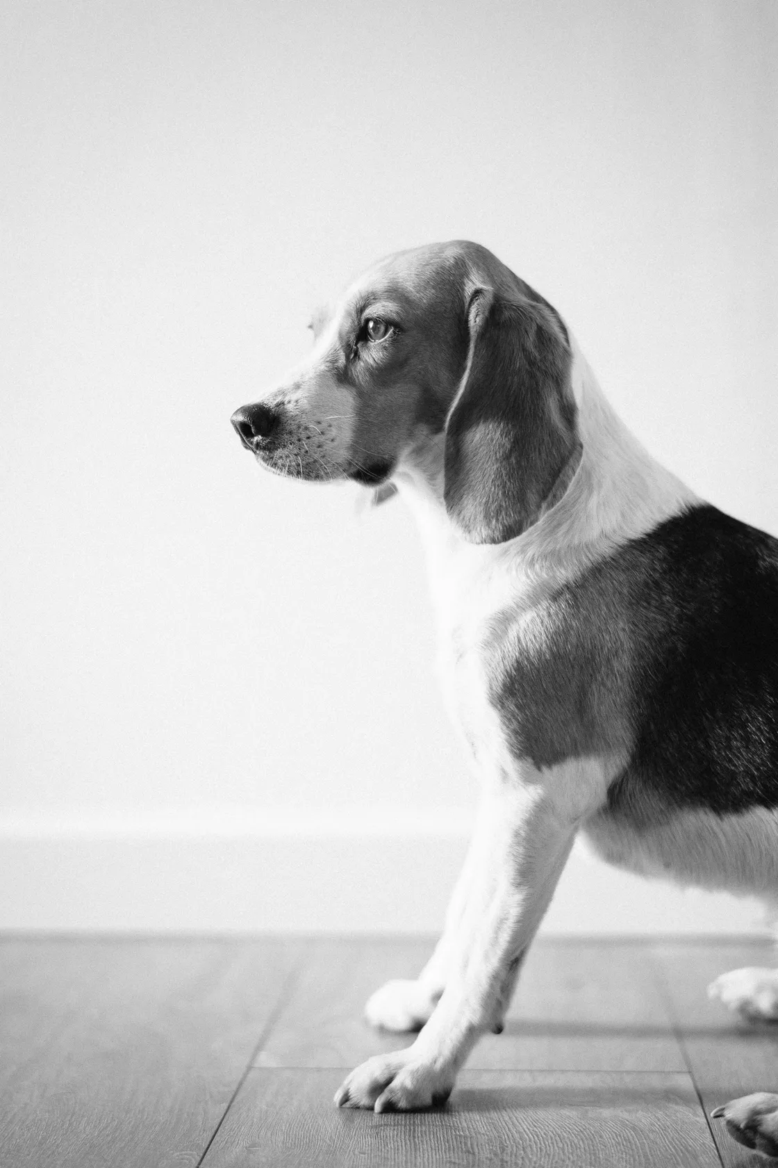 Portraits photography by Moritz Kaiser