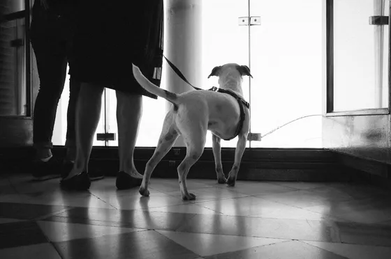 Street photography by Moritz Kaiser